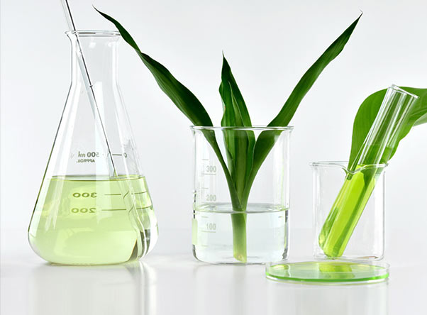 Flasks and beakers with plant leaves and light green liquid.